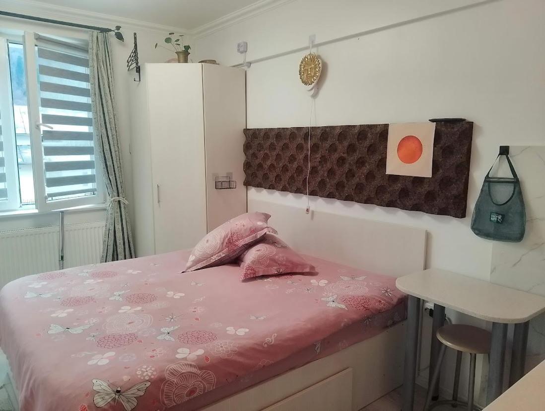 1 Small Studio, Central, Self Check In Sinaia Exterior foto
